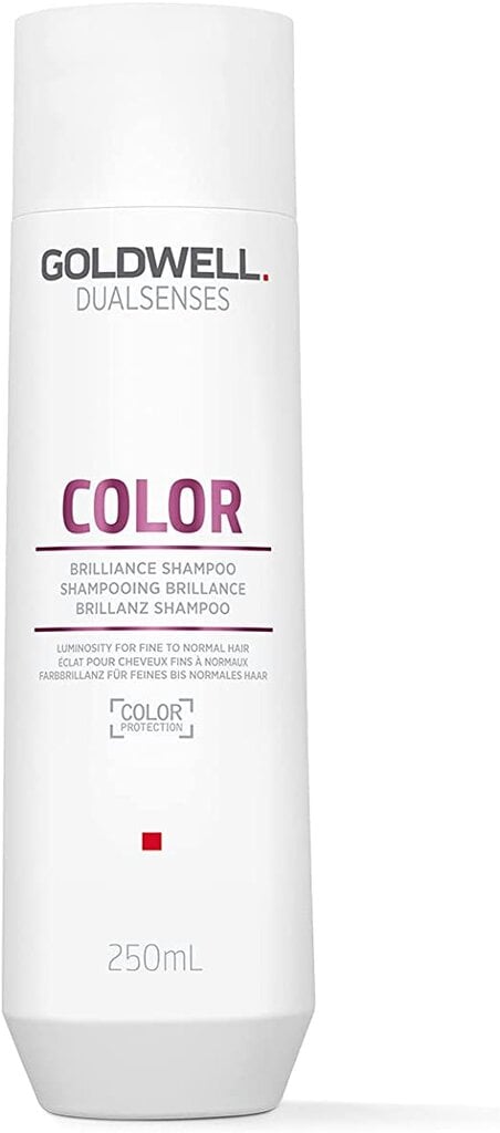 Shampoo värjätyille hiuksille Goldwell Dualsenses Brilliance Color Shampoo 250ml hinta ja tiedot | Shampoot | hobbyhall.fi