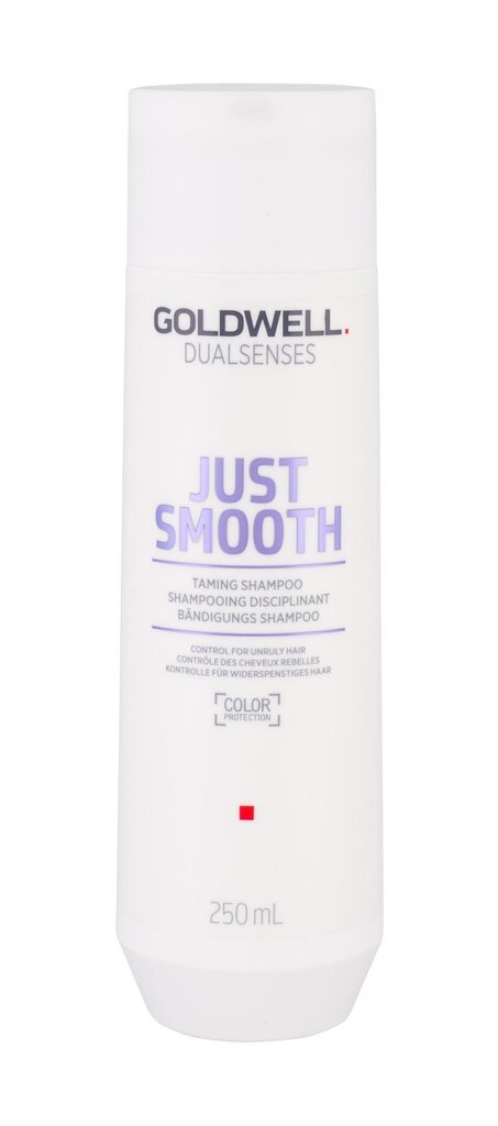 Shampoo kurittomille hiuksille Goldwell Just Smooth Taming Shampoo 250ml hinta ja tiedot | Shampoot | hobbyhall.fi