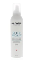 Vaahtoshampoo herkälle päänahalle Goldwell Dualsenses Scalp Specialist Sensitive 250 ml hinta ja tiedot | Shampoot | hobbyhall.fi