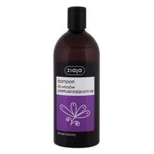 Ziaja Lavender shampoo 500 ml hinta ja tiedot | Shampoot | hobbyhall.fi