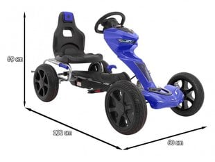 Lasten mikroauto Grand Ride, sininen hinta ja tiedot | Poikien lelut | hobbyhall.fi