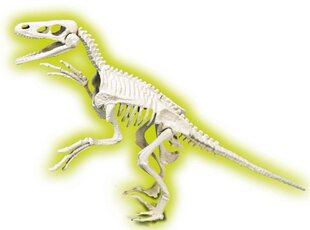 dinosaurusfossiili velociraptor clementoni hinta ja tiedot | Poikien lelut | hobbyhall.fi