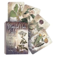 Magickal Herb Oracle -kortit hinta ja tiedot | Esoteria | hobbyhall.fi