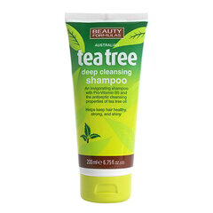 Beauty Formulas Tea Tree Hair syväpuhdistava shampoo 200 ml hinta ja tiedot | Shampoot | hobbyhall.fi