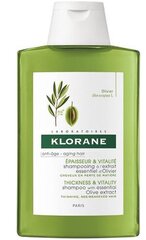 Klorane oliiviuutetta sisältävä uudistava shampoo, 200 ml hinta ja tiedot | Shampoot | hobbyhall.fi