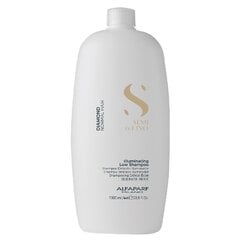 Alfaparf Milano Semi Di Lino Diamond -shampoo, 1000 ml hinta ja tiedot | Alfaparf Milano Hiustenhoitotuotteet | hobbyhall.fi