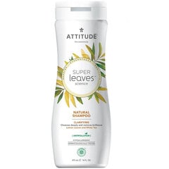 Shampoo Attitude Super Leaves Clarifying 473 ml hinta ja tiedot | Attitude Kodin puhdistusaineet ja siivoustarvikkeet | hobbyhall.fi