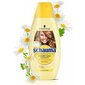 Schauma Every Day shampoo 400 ml hinta ja tiedot | Shampoot | hobbyhall.fi