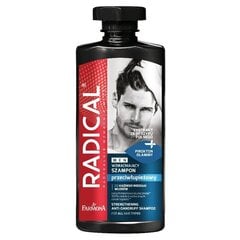 Farmona Radical Men shampoo hilsettä vastaan, 400 ml, hinta ja tiedot | Shampoot | hobbyhall.fi