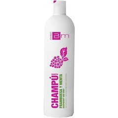 Vadelmaa ja minttua sisältävä shampoo TAHE Urban Blumin 1000 ml hinta ja tiedot | Shampoot | hobbyhall.fi