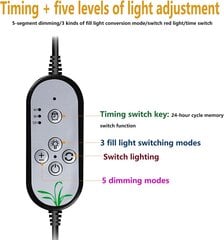 Kasvien kasvuvalo, täyden spektrin 2-pään sisäkasvien kasvuvalo, 5 himmennettävää valotasoa, ajastinasetus 4H/8H/12H, 3 kytkintilaa hinta ja tiedot | Sisäpuutarhat ja kasvilamput | hobbyhall.fi