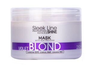 Stapiz Sleek Line Violet hiusnaamio 250 ml hinta ja tiedot | Stapiz Hajuvedet ja kosmetiikka | hobbyhall.fi