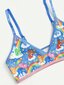 Care Bears Sarjakuvapainetut rintaliivit ja alusvaatteet Set·Multicolor·M hinta ja tiedot | Rintaliivit | hobbyhall.fi