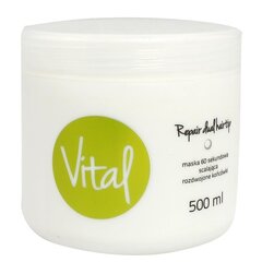 Stapiz Vital Repair Dual Hairtip Mask 60s hiusnaamio 500 ml hinta ja tiedot | Stapiz Hajuvedet ja kosmetiikka | hobbyhall.fi