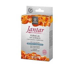 Setti kuiville ja vaurioituneille hiuksille Farmona Jantar Hot Treatment with Amber Extract 37 ml hinta ja tiedot | Naamiot, öljyt ja seerumit | hobbyhall.fi