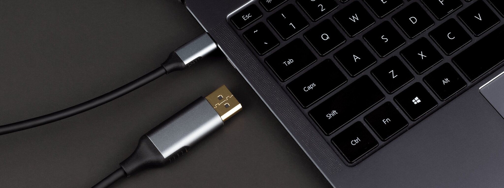 Reagle USB-C/DisplayPort, 1,8 m hinta ja tiedot | Kaapelit ja adapterit | hobbyhall.fi