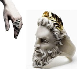 2kpl Mytologia Medusa Zeus Sormus Vintage Veistos Kuningatar Sormus Lahjat Naisille ja Miehille, Liioiteltu vanhan miehen muotoinen sormus, numero 7 OSTNM hinta ja tiedot | Sormukset | hobbyhall.fi