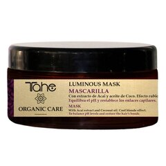 Hopeanaamio TAHE Organic luminous 300 ml hinta ja tiedot | Hiusnaamiot, öljyt ja seerumit | hobbyhall.fi