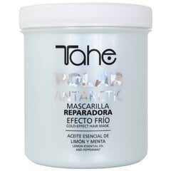 Naamio TAHE Polar Antarctic 700 ml hinta ja tiedot | Naamiot, öljyt ja seerumit | hobbyhall.fi