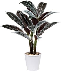 Briful 63cm suuri keinotekoinen kasvi Cordyline Fruticosa valkoinen potti hinta ja tiedot | Keinotekoiset kukat | hobbyhall.fi