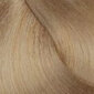Hiusten väri L'Oreal Majirel 9.0, 50 ml hinta ja tiedot | Hiusvärit | hobbyhall.fi