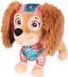 Maskotti 23 cm Paw Patrol Liberty hinta ja tiedot | Tyttöjen lelut | hobbyhall.fi