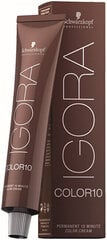 Hiusväri Schwarzkopf Professional Igora Color 10, 60 ml, 6 6 hinta ja tiedot | Hiusvärit | hobbyhall.fi