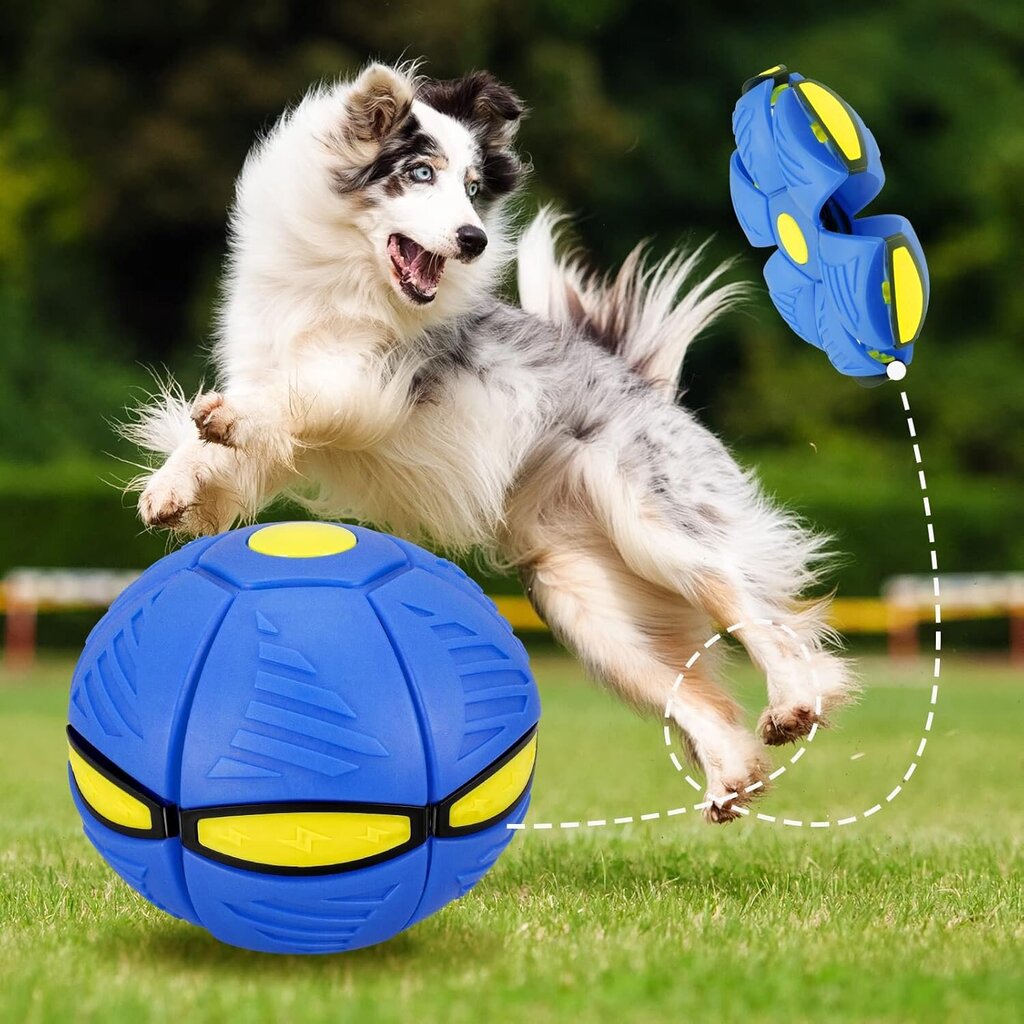 Lemmikkilelu frisbeepallo, Flyball Magic Dekompressio- ja muodonmuutosjalkapuristin, Interaktiivinen Flytackle-pallo, Pienen ja Keskikokoisen koiran lelu hinta ja tiedot | Koiran lelut | hobbyhall.fi