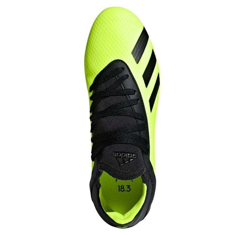 Jalkapallokengät Adidas X 18.3 FG Jr DB2418 (44988) hinta ja tiedot | Jalkapallokengät | hobbyhall.fi