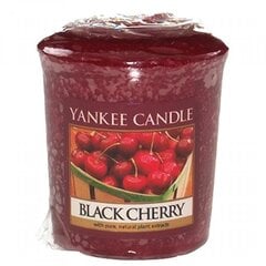 Yankee Candle Black Cherry tuoksukynttilä 49 g hinta ja tiedot | Kynttilät ja kynttilänjalat | hobbyhall.fi