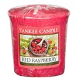 Yankee Candle Red Raspberry tuoksukynttilä 49 g