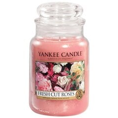 Yankee Candle Large Jar kynttilä Fresh Cut Roses 623 g hinta ja tiedot | Kynttilät ja kynttilänjalat | hobbyhall.fi