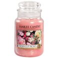 Yankee Candle Large Jar kynttilä Fresh Cut Roses 623 g