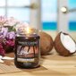 Yankee Candle Black Coconut tuoksukynttilä 623 g hinta ja tiedot | Kynttilät ja kynttilänjalat | hobbyhall.fi