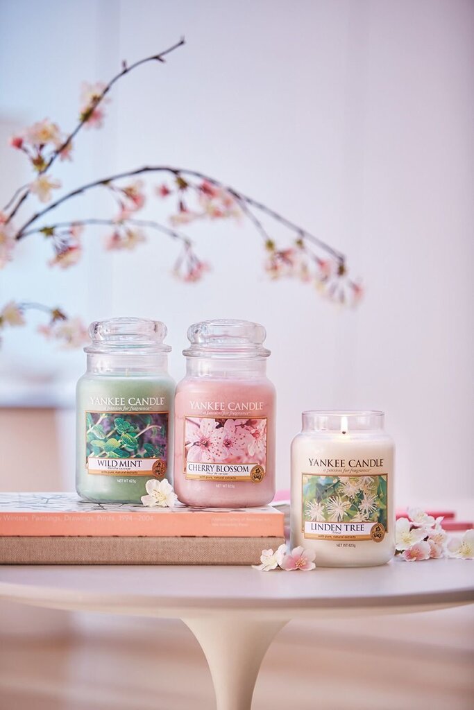 Yankee Candle Large Jar kynttilä Cherry Blossom 623 g hinta ja tiedot | Kynttilät ja kynttilänjalat | hobbyhall.fi