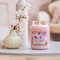 Yankee Candle Large Jar kynttilä Cherry Blossom 623 g hinta ja tiedot | Yankee Candle Huonekalut ja sisustus | hobbyhall.fi