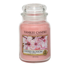 Yankee Candle Large Jar kynttilä Cherry Blossom 623 g hinta ja tiedot | Yankee Candle Huonekalut ja sisustus | hobbyhall.fi
