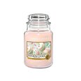 Yankee Candle Rainbow Cookie tuoksukynttilä 623 g