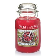 Yankee Candle Red Raspberry tuoksukynttilä 623 g hinta ja tiedot | Kynttilät ja kynttilänjalat | hobbyhall.fi