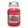 Yankee Candle Red Raspberry tuoksukynttilä 623 g