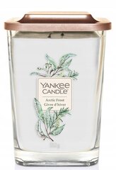 Tuoksukynttilä Yankee Candle Arctic Frost 552 g hinta ja tiedot | Yankee Candle Huonekalut ja sisustus | hobbyhall.fi