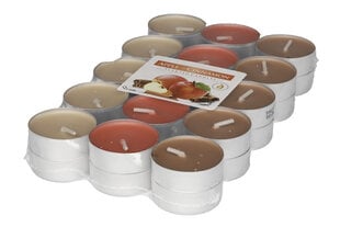 Tuoksuvat teekynttilät Apple&Cinnamon, 30 kpl hinta ja tiedot | Scented Candle Huonekalut ja sisustus | hobbyhall.fi