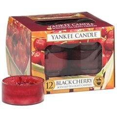 Yankee Candle Black Cherry tuoksukynttilä 12 x 9.8 g hinta ja tiedot | Kynttilät ja kynttilänjalat | hobbyhall.fi
