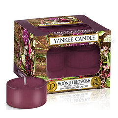 Yankee Candle Moonlit Blossoms tuoksukynttilä 12 x 9.8 g hinta ja tiedot | Kynttilät ja kynttilänjalat | hobbyhall.fi