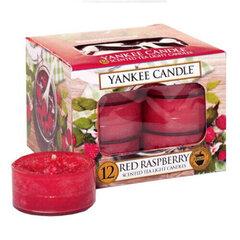 Yankee Candle Red Raspberry tuoksukynttilä 12 x 9.8 g hinta ja tiedot | Kynttilät ja kynttilänjalat | hobbyhall.fi
