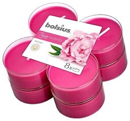 Tuoksukynttiläsetti Bolsius True Scents Peony, 8 kpl hinta ja tiedot | Kynttilät ja kynttilänjalat | hobbyhall.fi