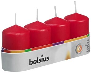 Lieriömäiset kynttilät Bolsius, 6x4 cm hinta ja tiedot | Bolsius Huonekalut ja sisustus | hobbyhall.fi