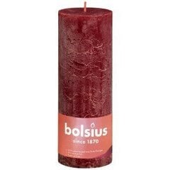 Lieriömäiset kynttilät Bolsius, 19x6,8 cm hinta ja tiedot | Bolsius Huonekalut ja sisustus | hobbyhall.fi