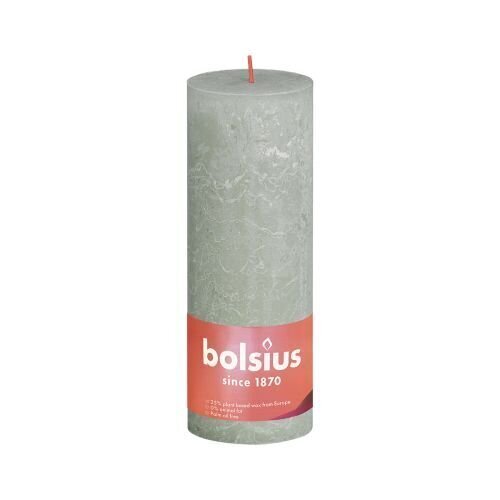 Lieriömäiset kynttilät Bolsius, 19x6,8 cm hinta ja tiedot | Kynttilät ja kynttilänjalat | hobbyhall.fi