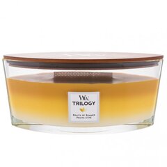 WoodWick Tuoksukynttilä Trilogy Elipsa Fruits Of Summer 453,6g hinta ja tiedot | WoodWick Huonekalut ja sisustus | hobbyhall.fi